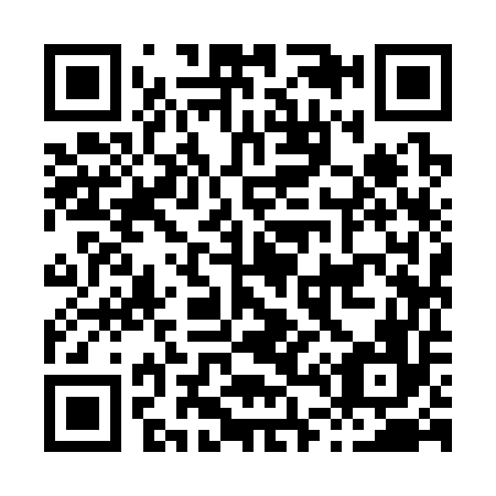 QR code for H49356