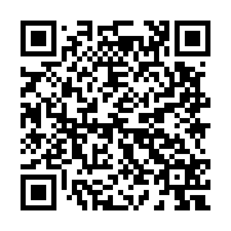 QR code for H49524