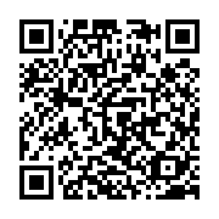 QR code for H49528