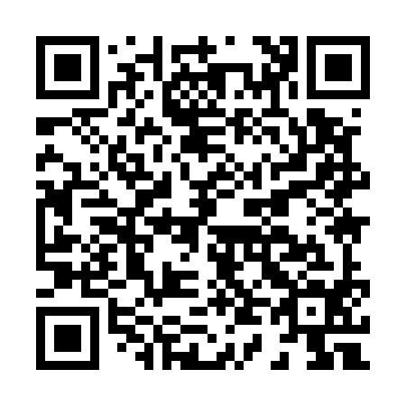 QR code for H49594