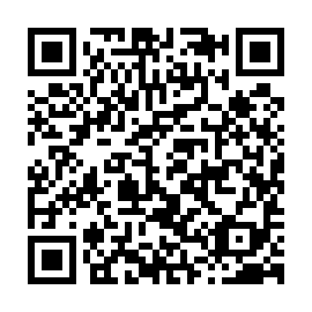 QR code for H49599