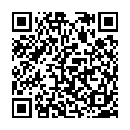 QR code for H49733