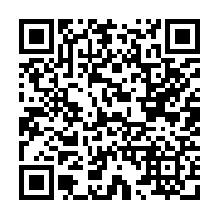 QR code for H49929
