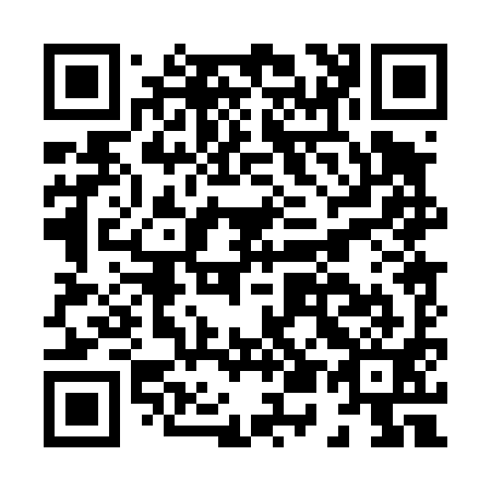 QR code for H50491