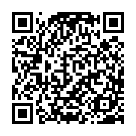 QR code for H50541