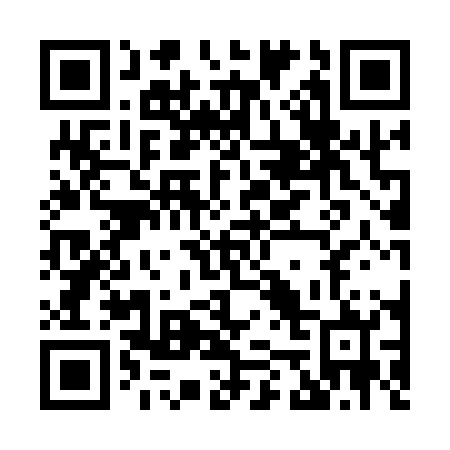 QR code for H51102