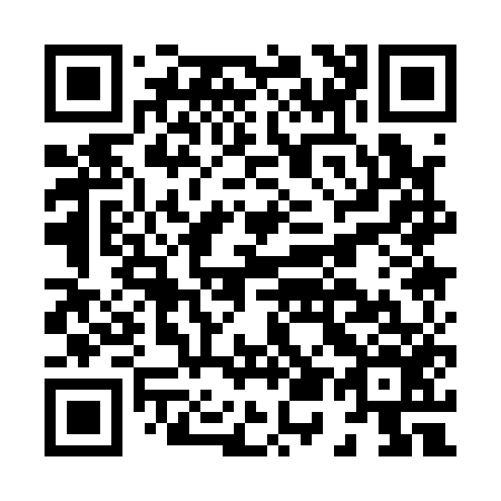 QR code for H51156