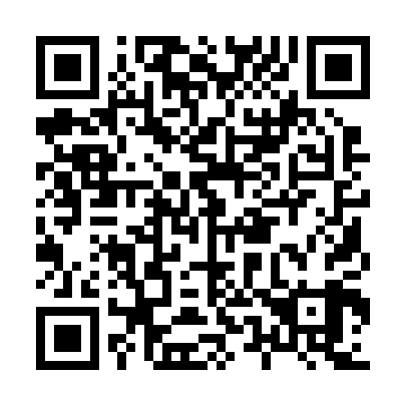 QR code for H51209