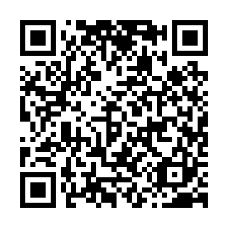 QR code for H51223