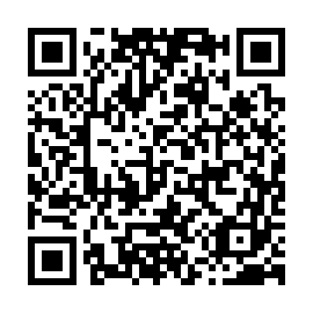 QR code for H51363