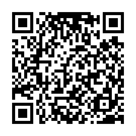QR code for H51632