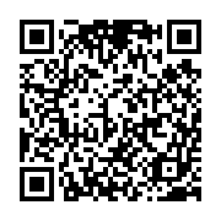 QR code for H51653