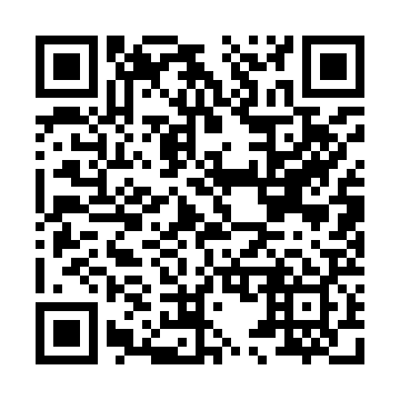 QR code for H51929