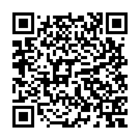 QR code for H52171