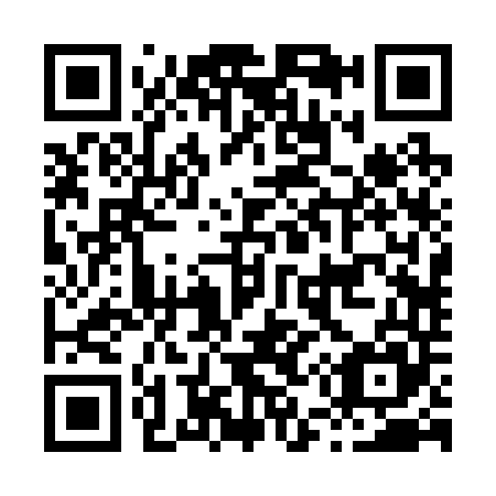 QR code for H52245