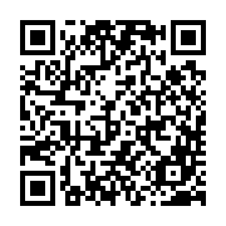 QR code for H52746