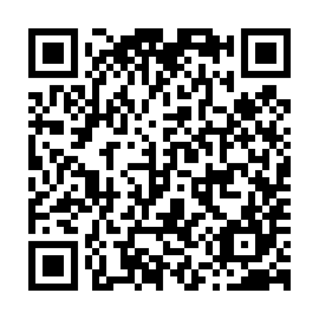 QR code for H53484