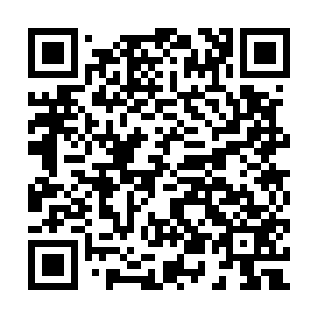 QR code for H53553