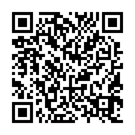 QR code for H55243