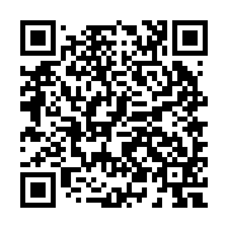 QR code for H55293