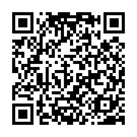 QR code for H55571