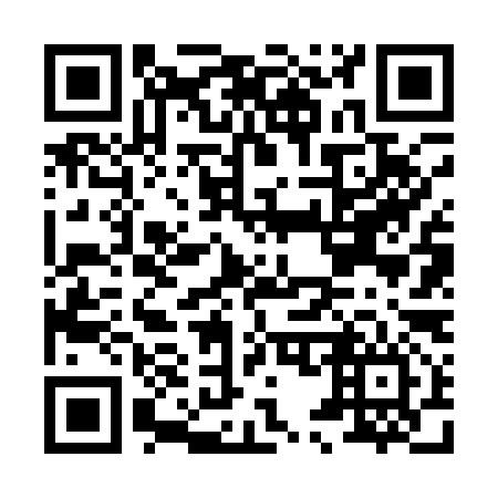 QR code for H56196