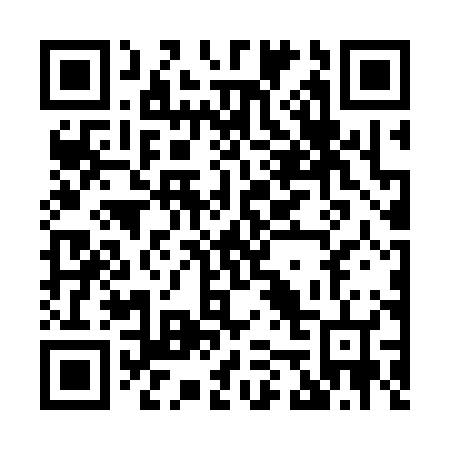 QR code for H56306