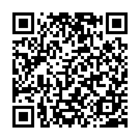 QR code for H57302