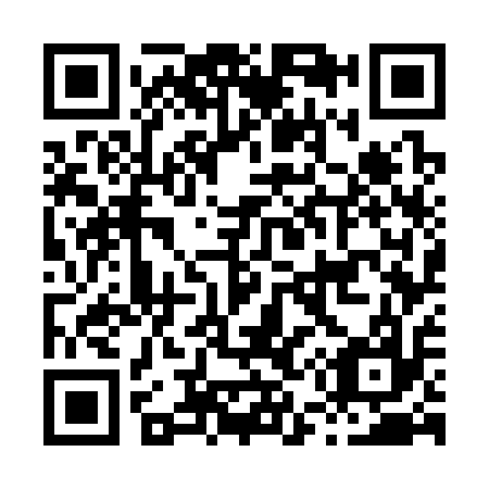 QR code for H57317