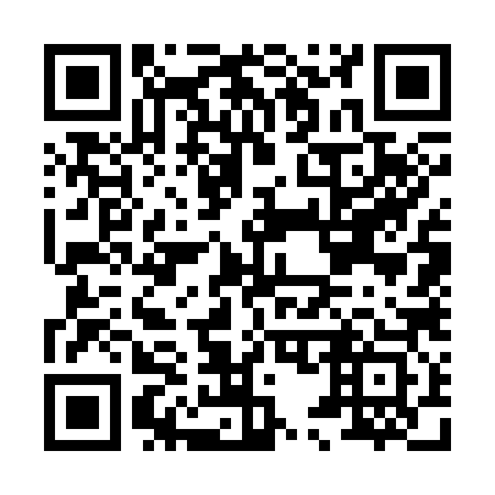 QR code for H57383