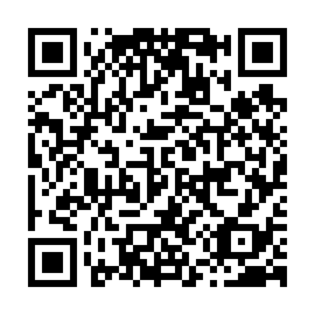 QR code for H57638
