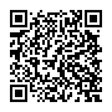 QR code for H60046