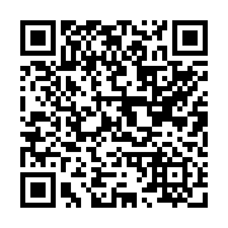 QR code for H60219