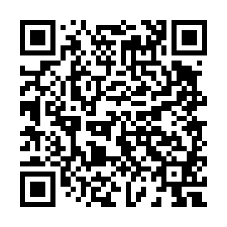 QR code for H60480