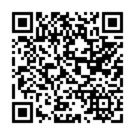 QR code for H60666