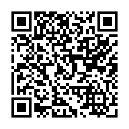 QR code for H63004