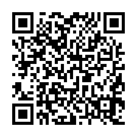QR code for H63155