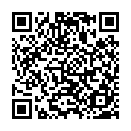 QR code for H63222