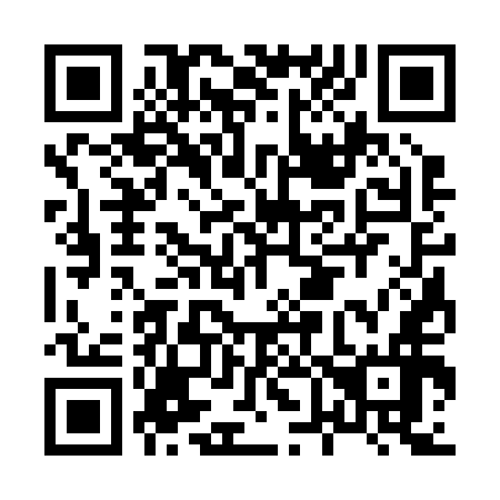 QR code for H63256