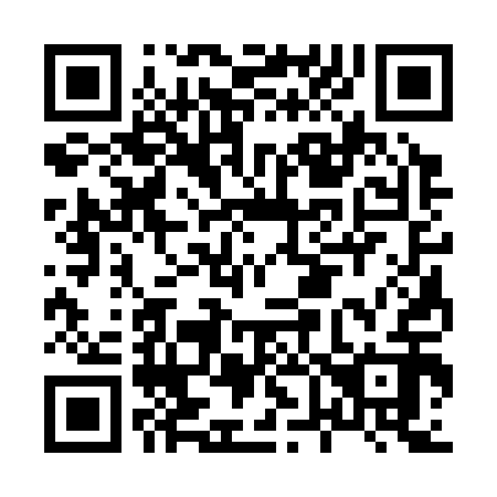 QR code for H63312