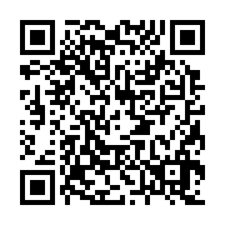 QR code for H63336