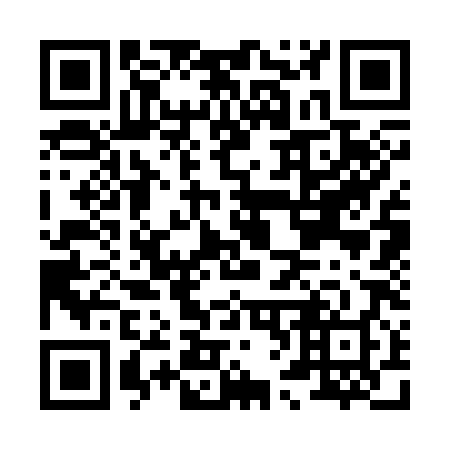 QR code for H63388