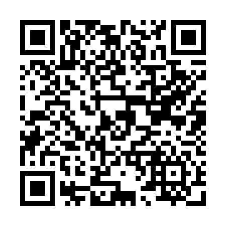 QR code for H63746