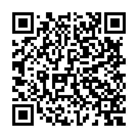 QR code for H63853