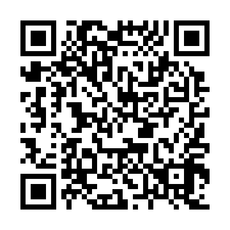 QR code for H64318