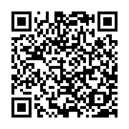 QR code for H64389