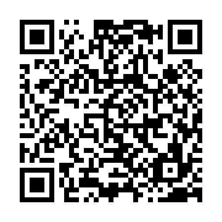 QR code for H65036