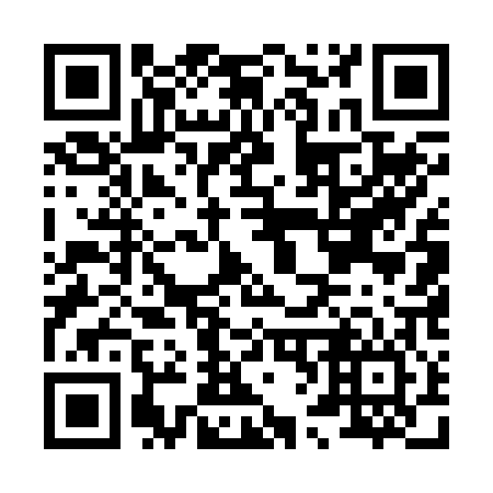 QR code for H65206