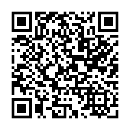QR code for H66119