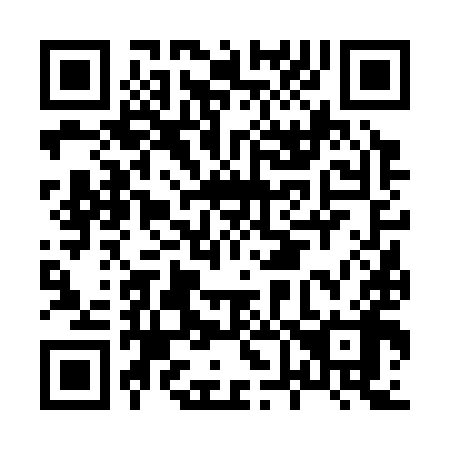 QR code for H66398